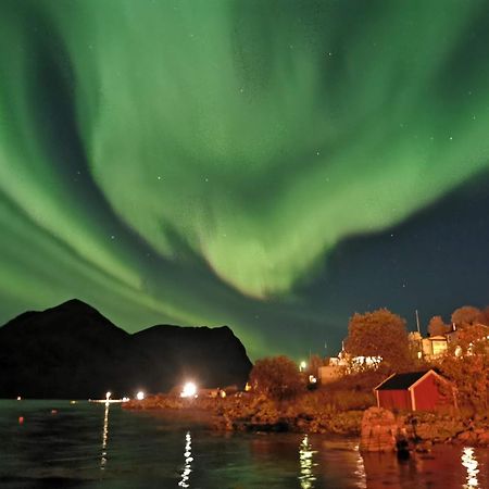 Ferrytale, Cozy, Spacious House On Senja Gryllefjord ภายนอก รูปภาพ