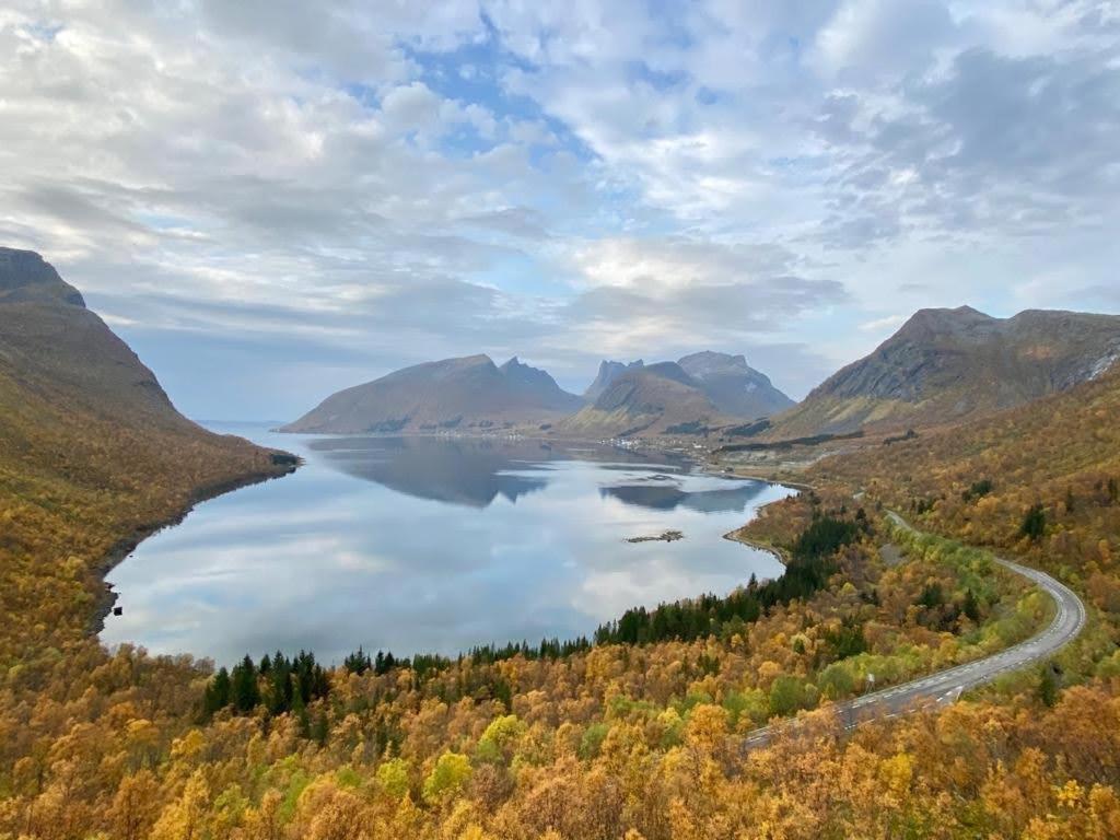 Ferrytale, Cozy, Spacious House On Senja Gryllefjord ภายนอก รูปภาพ