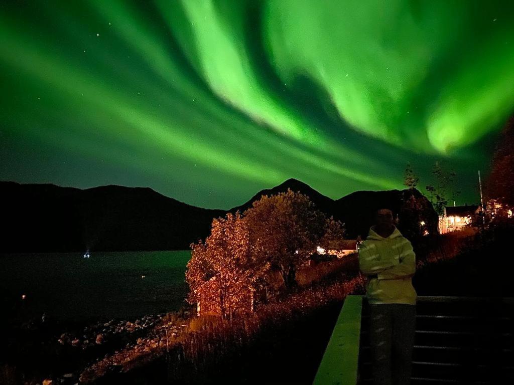 Ferrytale, Cozy, Spacious House On Senja Gryllefjord ภายนอก รูปภาพ