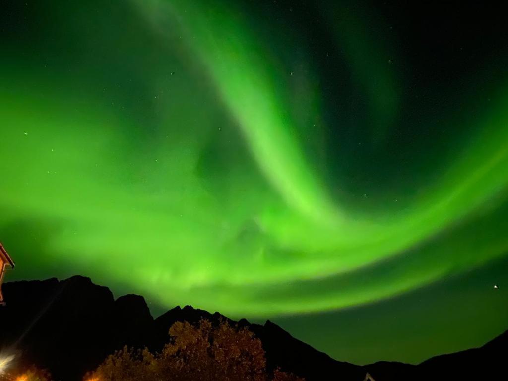 Ferrytale, Cozy, Spacious House On Senja Gryllefjord ภายนอก รูปภาพ