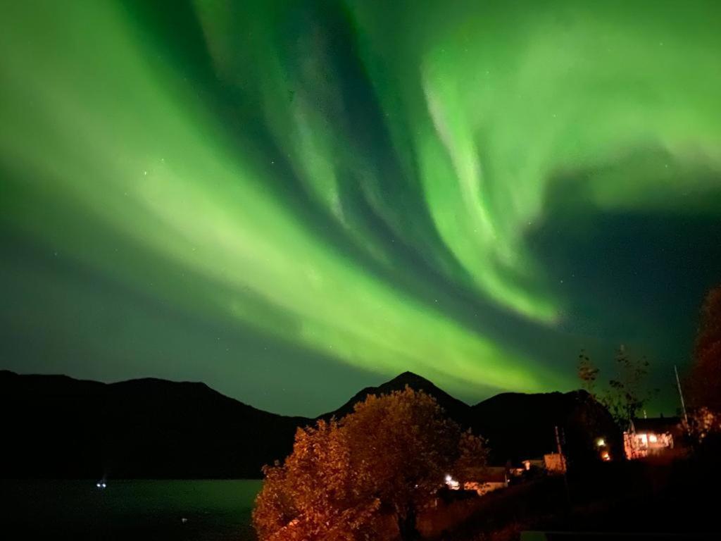 Ferrytale, Cozy, Spacious House On Senja Gryllefjord ภายนอก รูปภาพ