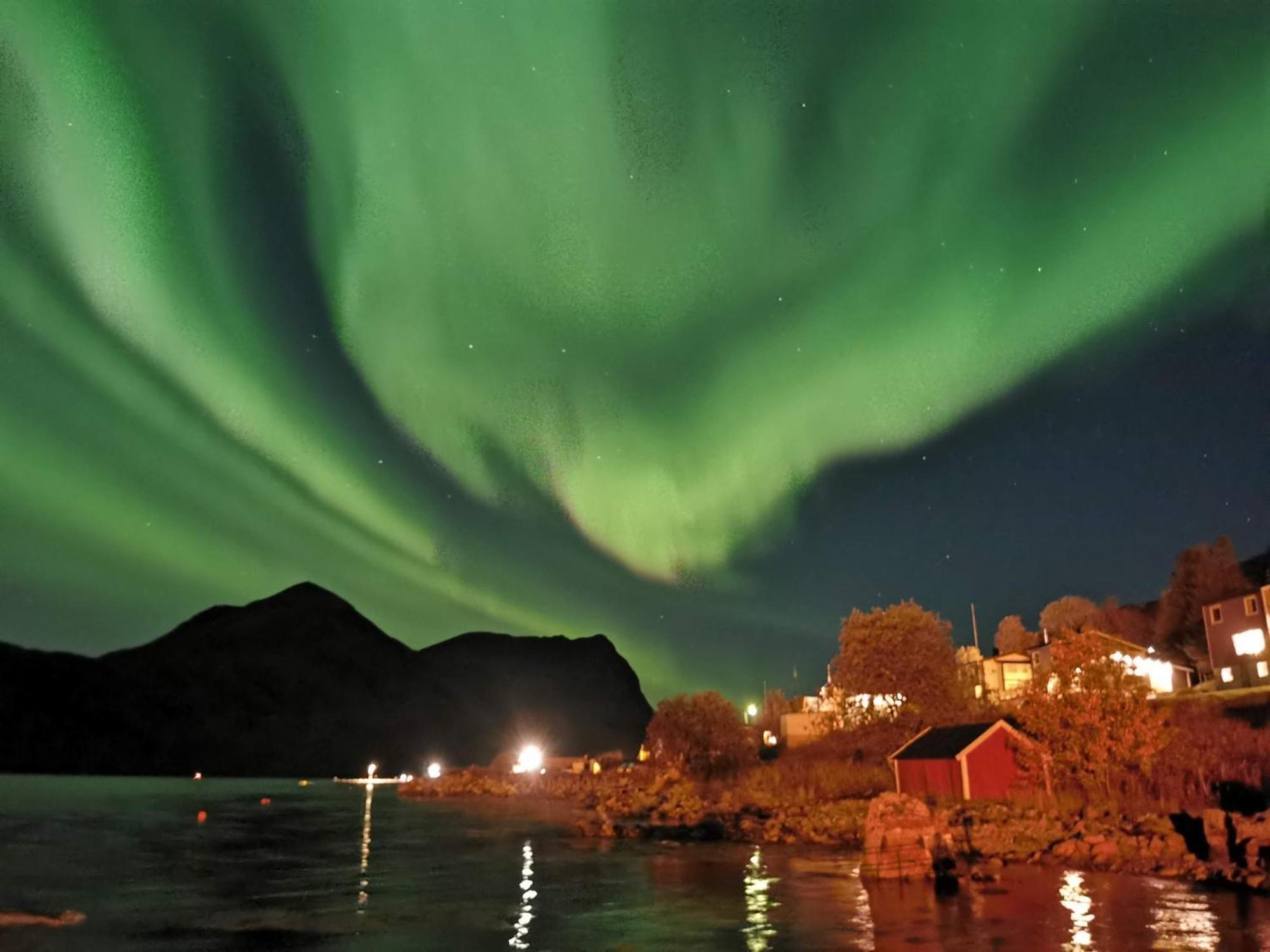 Ferrytale, Cozy, Spacious House On Senja Gryllefjord ภายนอก รูปภาพ