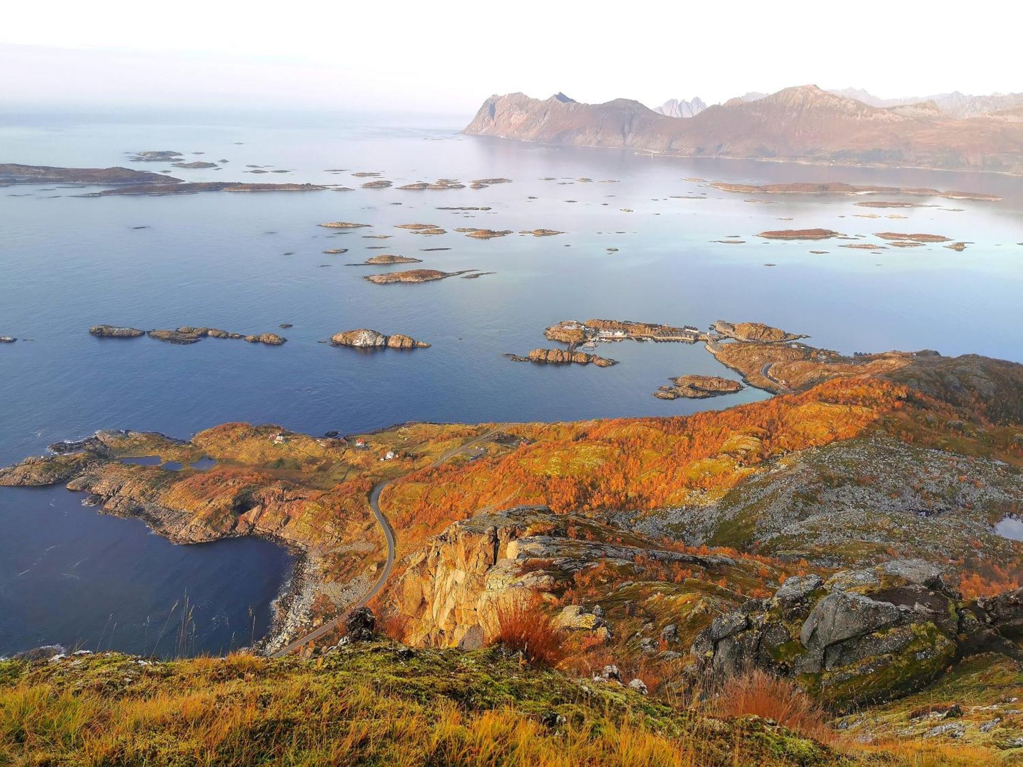 Ferrytale, Cozy, Spacious House On Senja Gryllefjord ภายนอก รูปภาพ