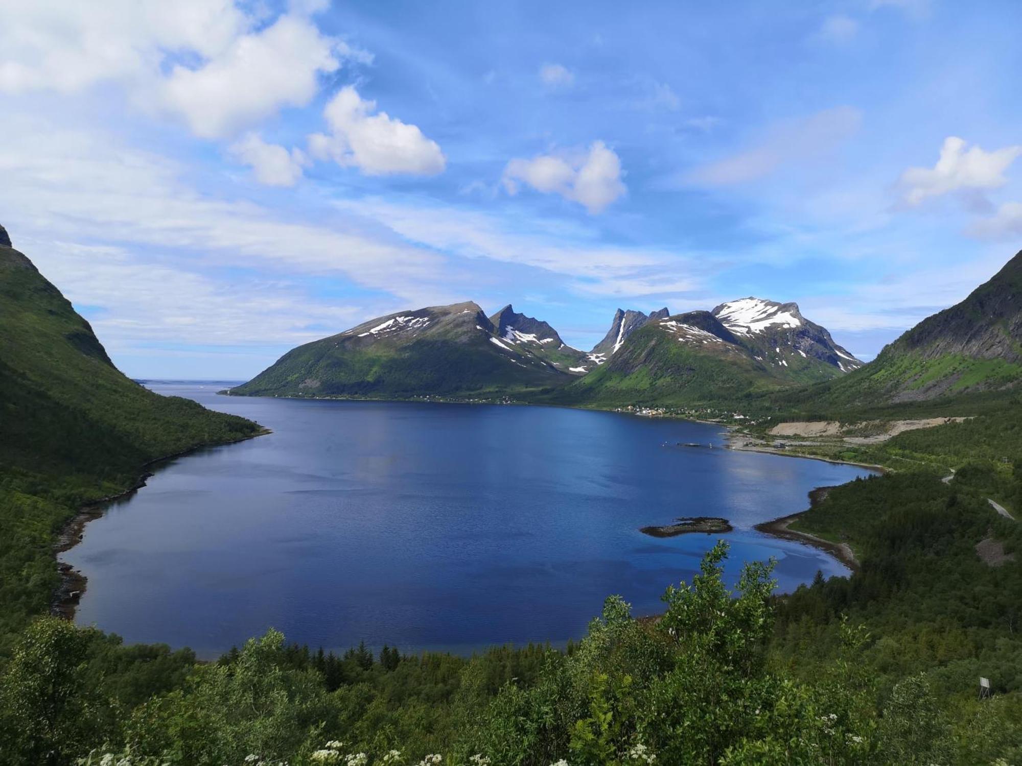 Ferrytale, Cozy, Spacious House On Senja Gryllefjord ภายนอก รูปภาพ